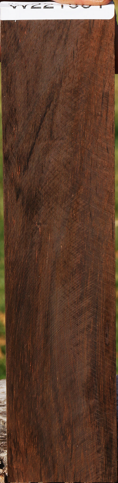 Brazilian Rosewood Micro Lumber