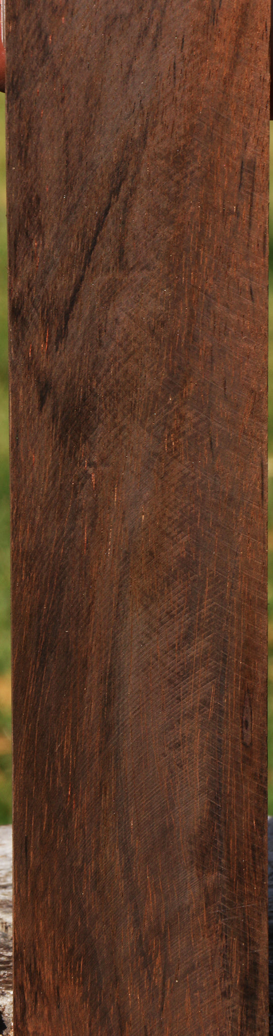 Brazilian Rosewood Micro Lumber