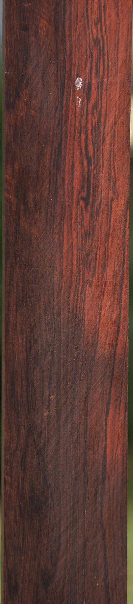 Brazilian Rosewood Micro Lumber