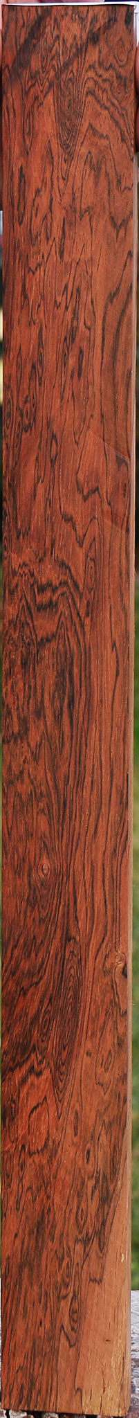 Brazilian Rosewood Micro Lumber