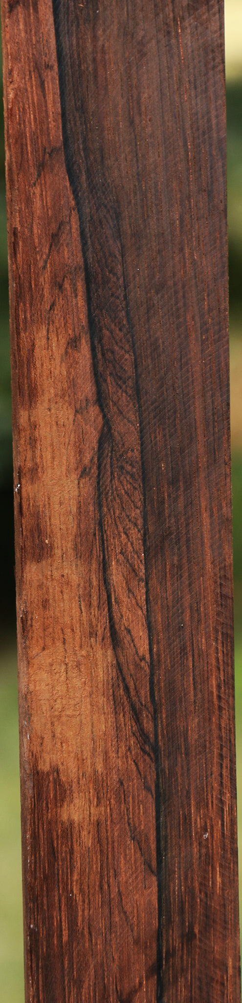 Brazilian Rosewood Micro Lumber