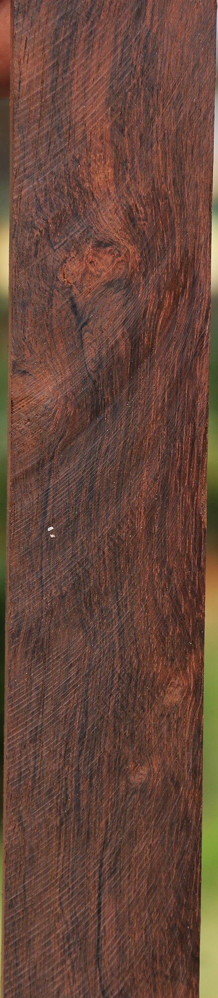 Brazilian Rosewood Micro Lumber