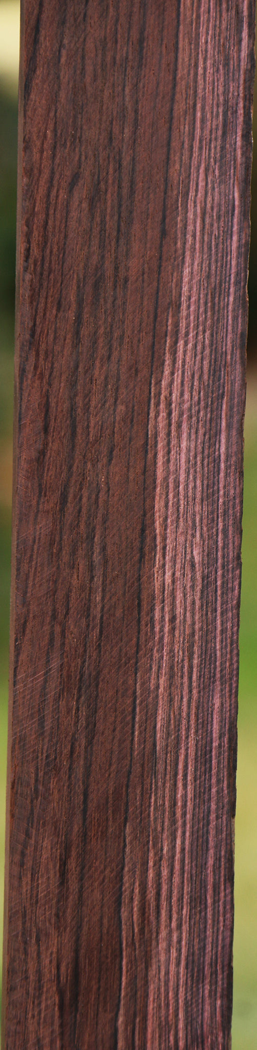 Brazilian Rosewood Micro Lumber