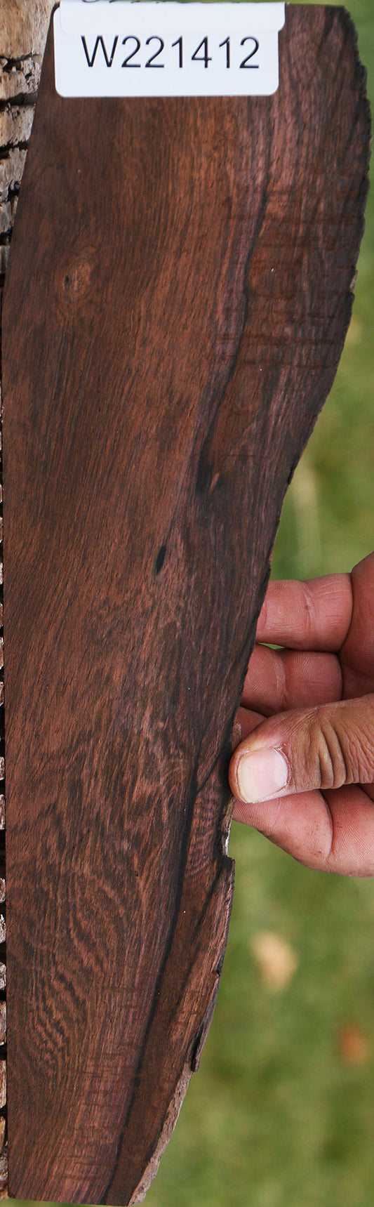 Brazilian Rosewood Live Edge Micro Lumber