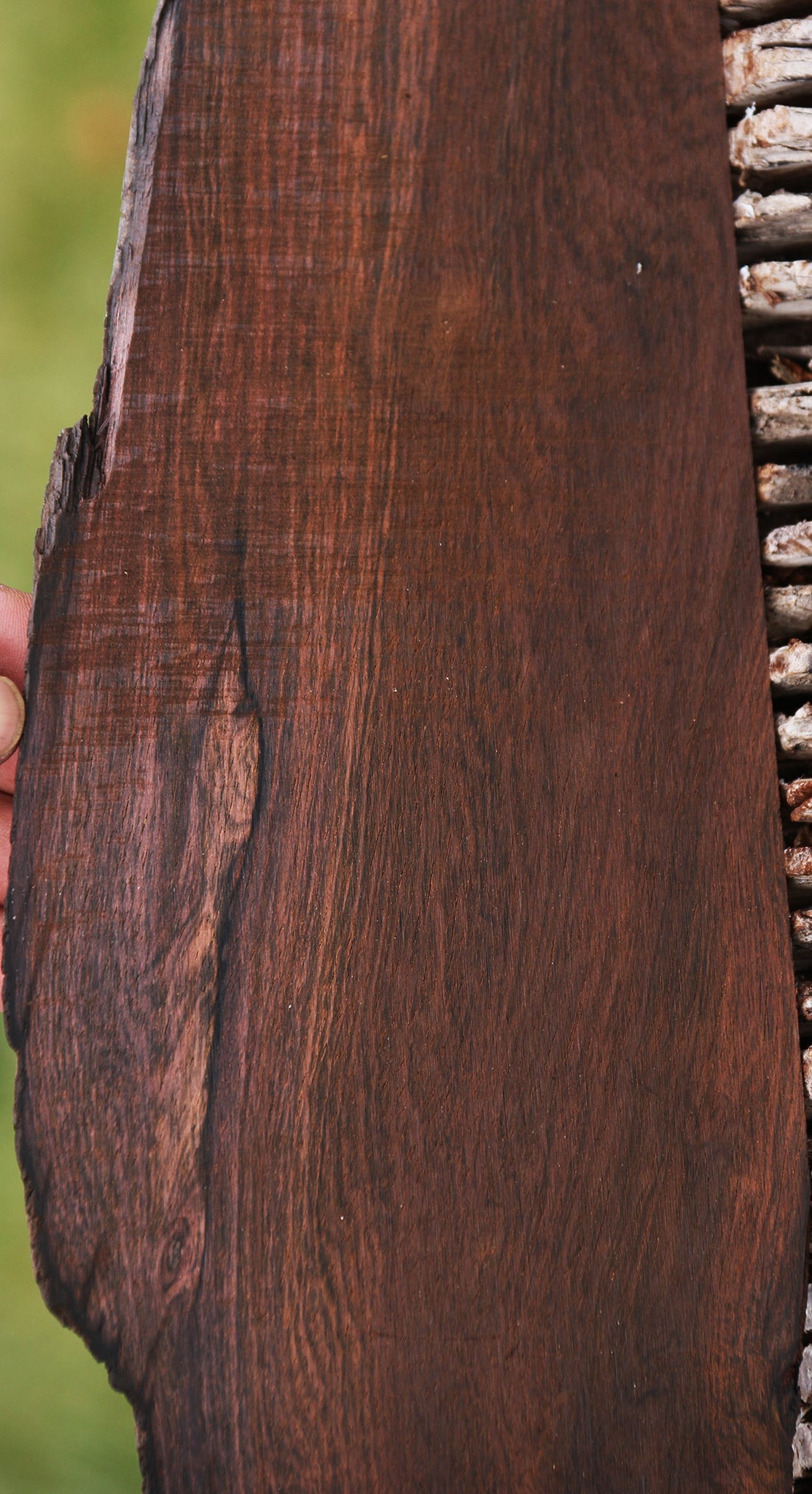 Brazilian Rosewood Live Edge Micro Lumber