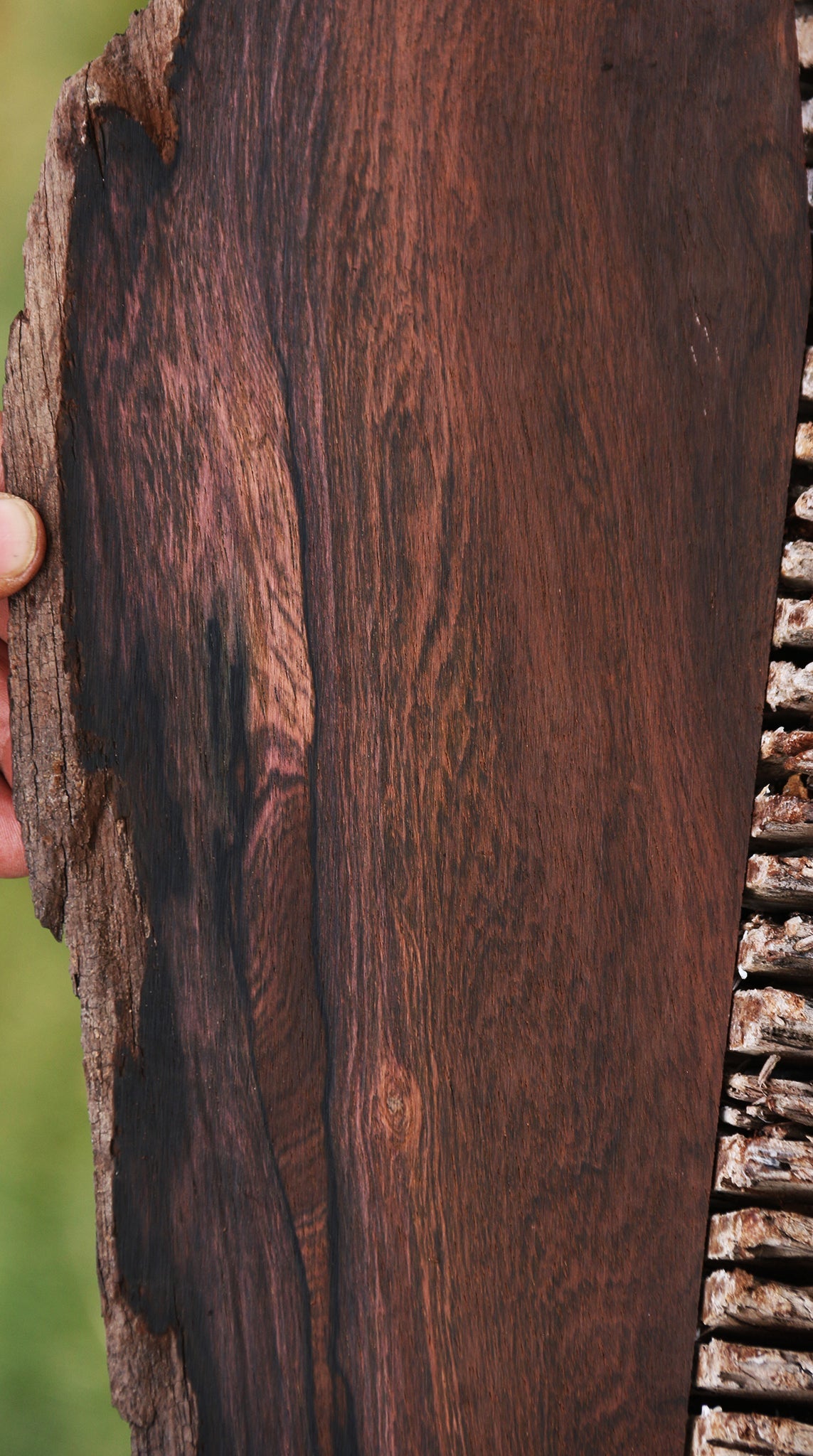 Brazilian Rosewood Live Edge Micro Lumber