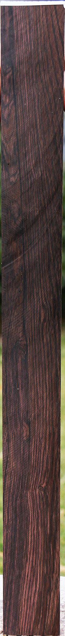 Brazilian Rosewood Micro Lumber