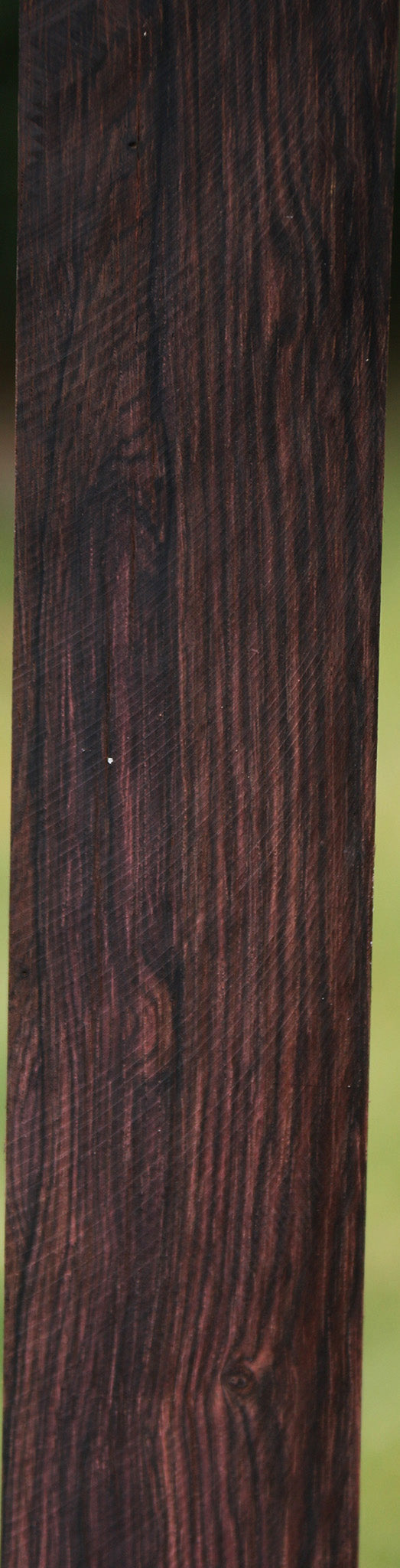 Brazilian Rosewood Micro Lumber