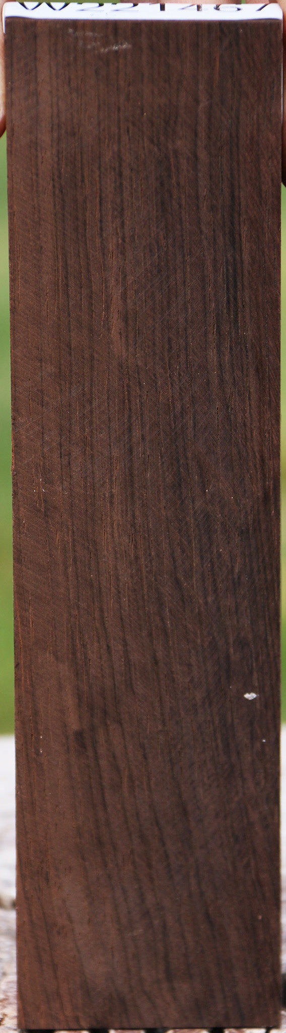 Brazilian Rosewood Micro Lumber