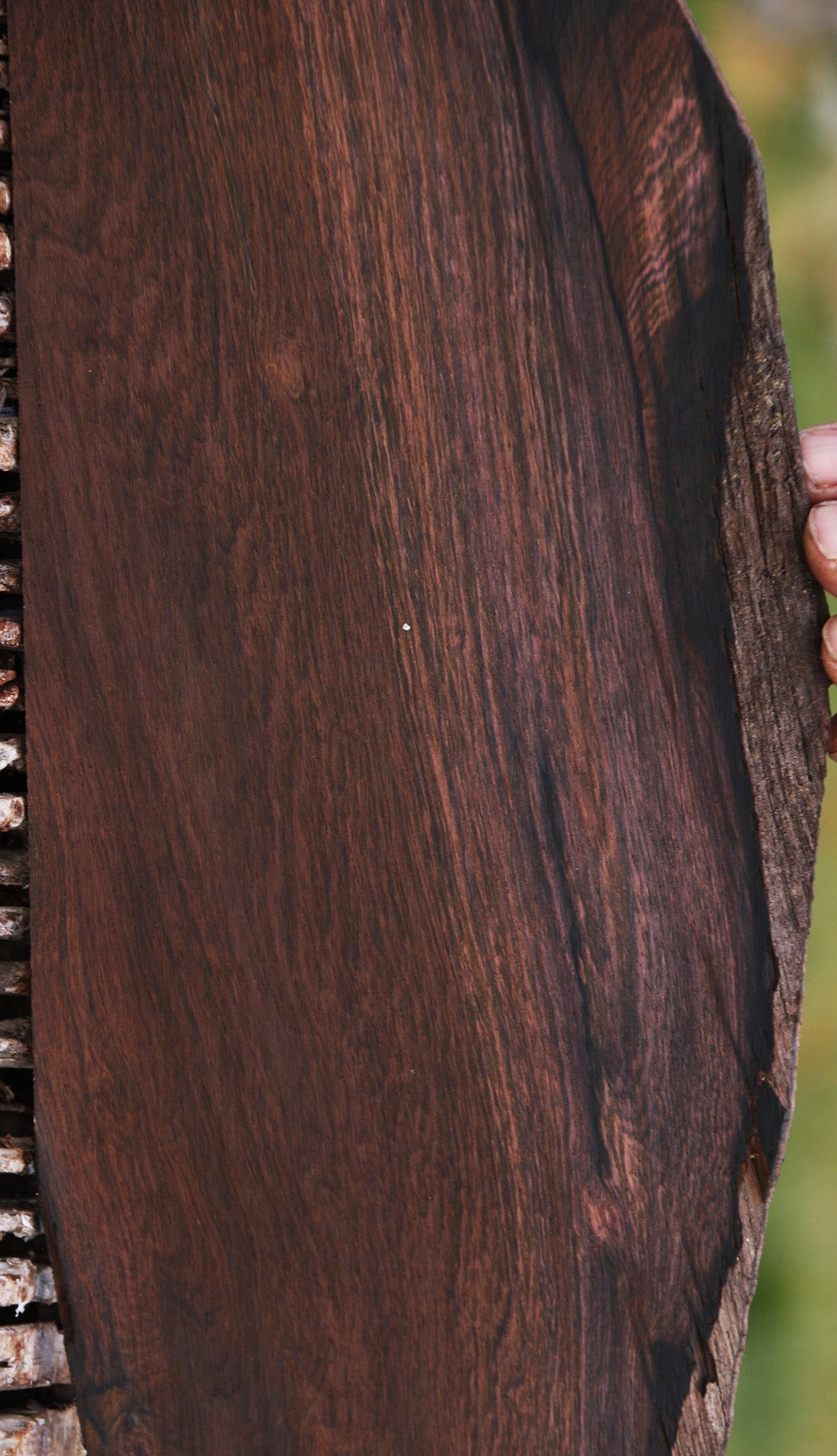 Brazilian Rosewood Live Edge Micro Lumber