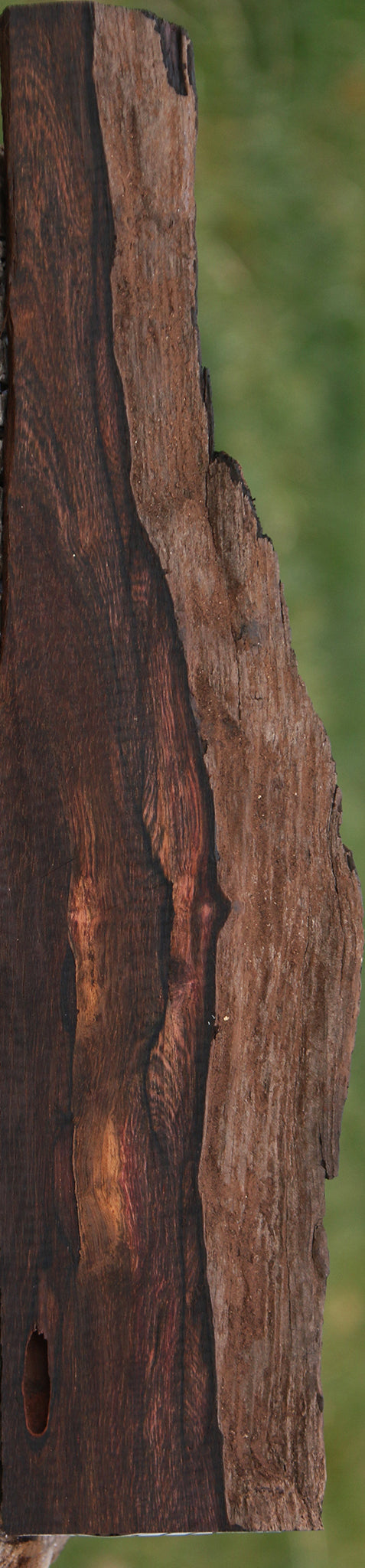 Extra Fancy Brazilian Rosewood Live Edge Lumber