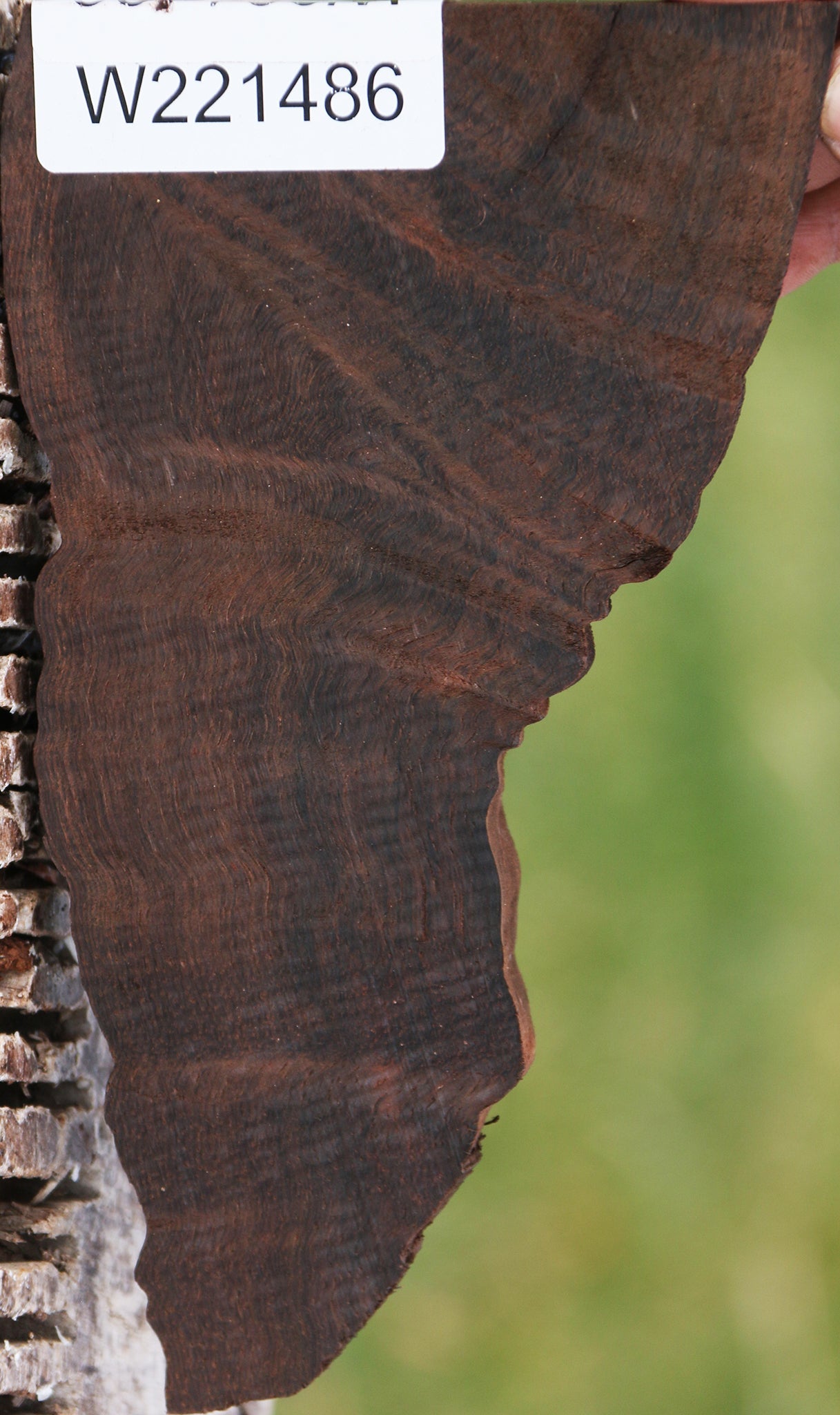 Exhibition Fiddleback Brazilian Rosewood Live Edge Lumber