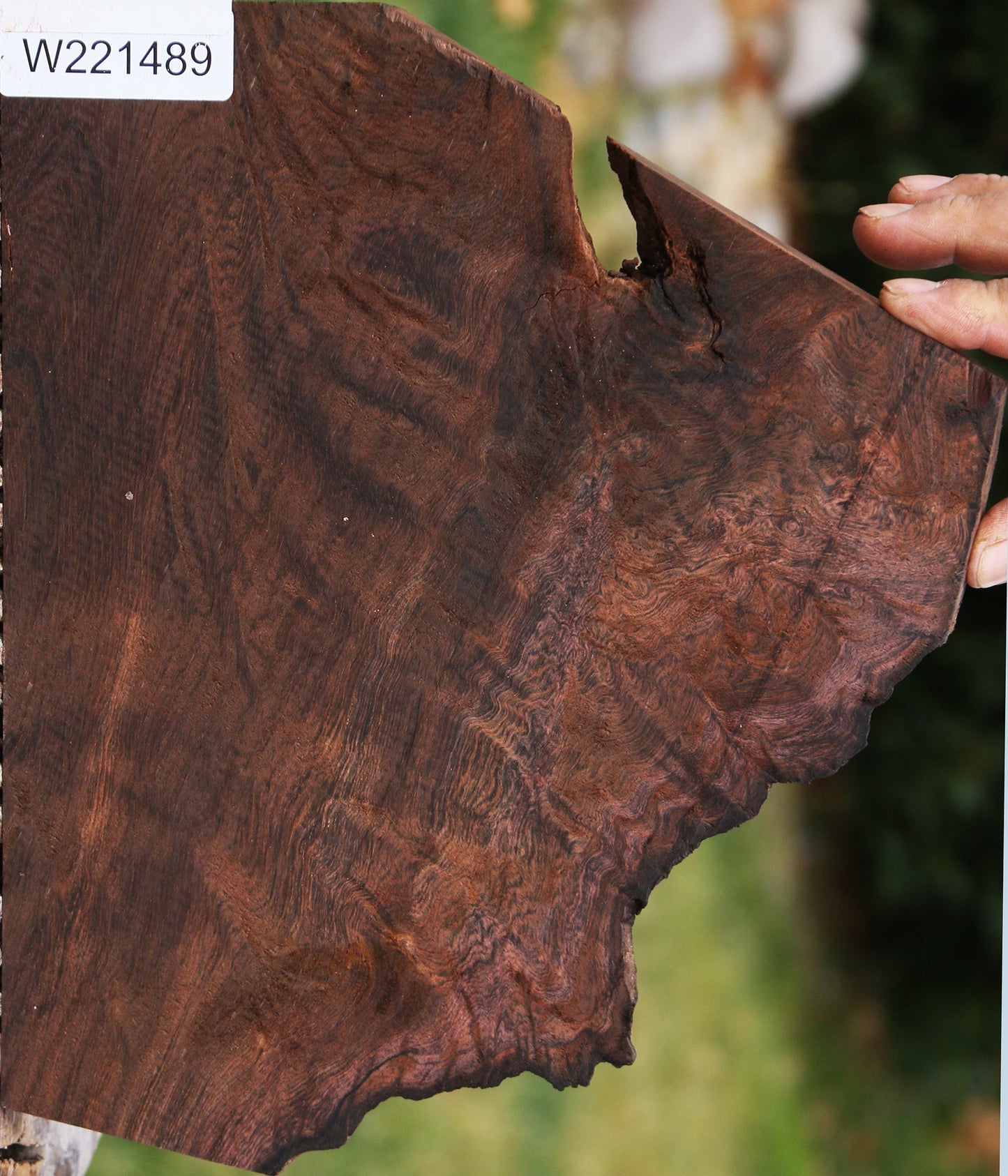 Exhibition Brazilian Rosewood Live Edge Lumber