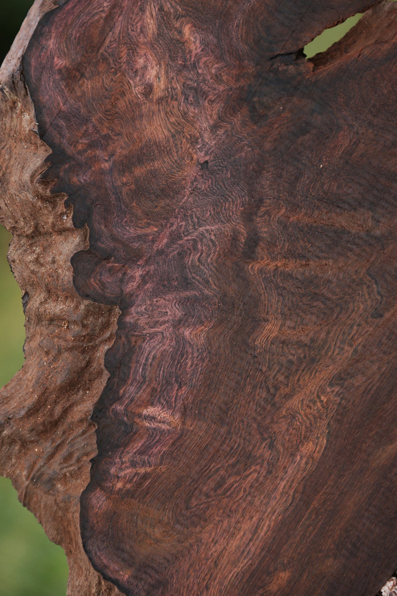 Exhibition Brazilian Rosewood Live Edge Lumber