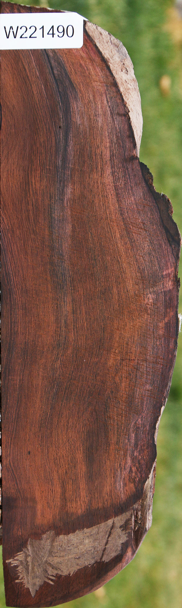 Brazilian Rosewood Live Edge Lumber