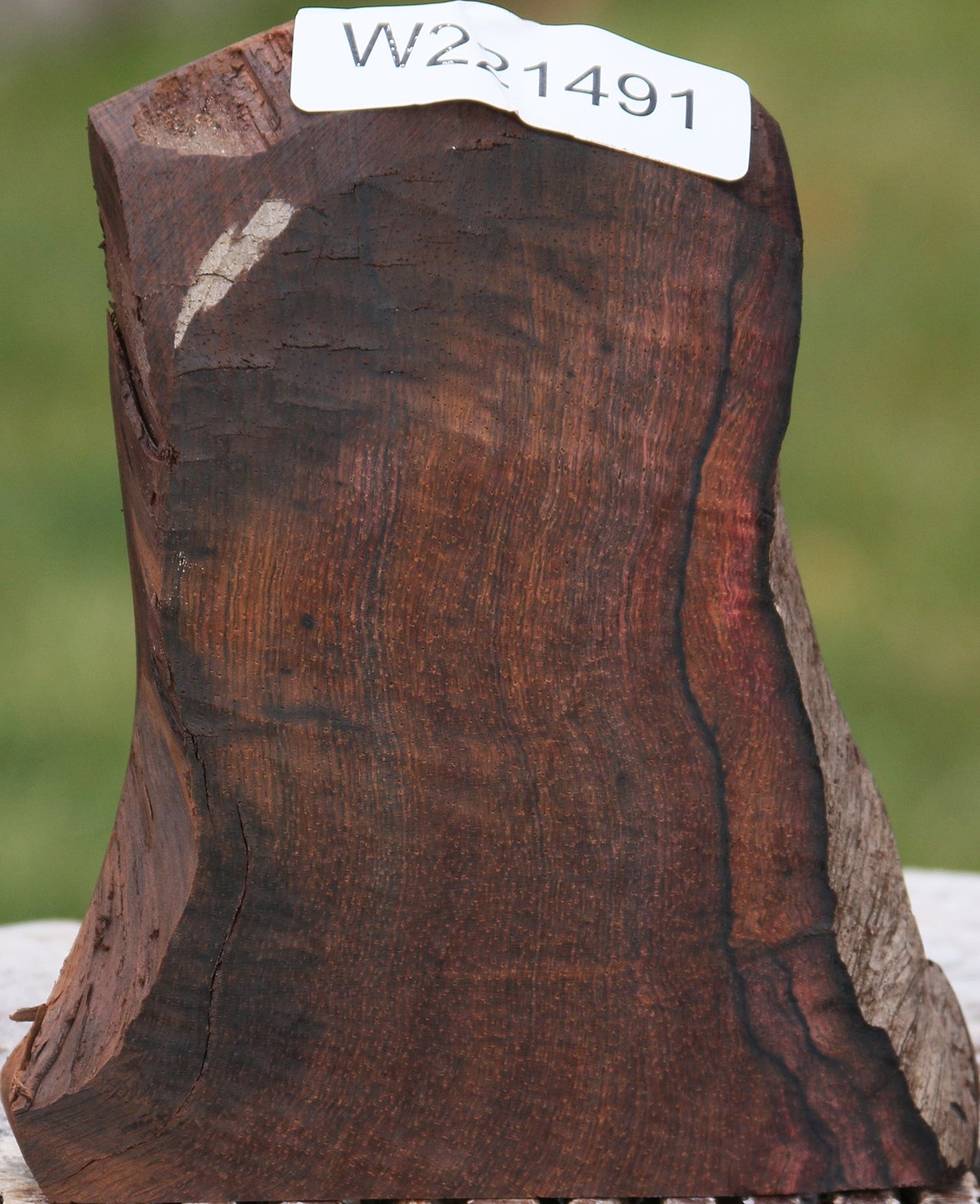 Brazilian Rosewood Live Edge Lumber