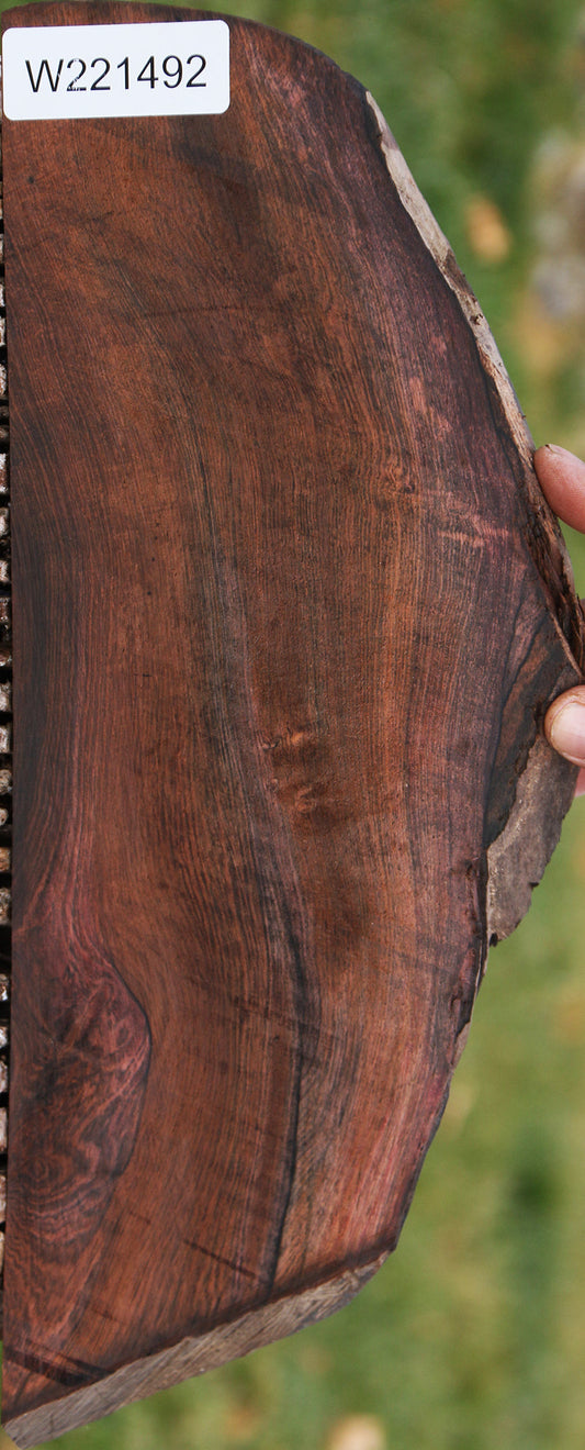 Brazilian Rosewood Live Edge Lumber