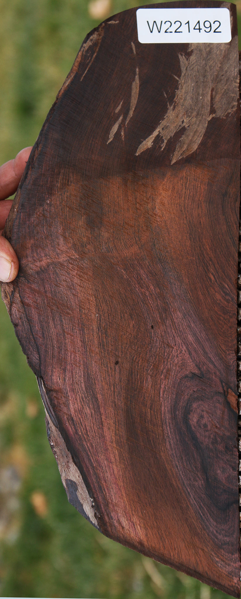 Brazilian Rosewood Live Edge Lumber