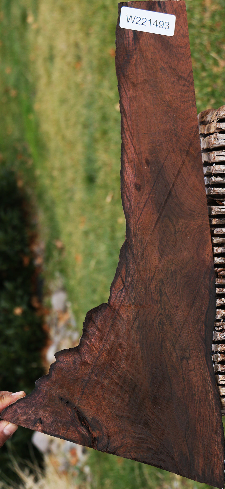 Brazilian Rosewood Live Edge Lumber