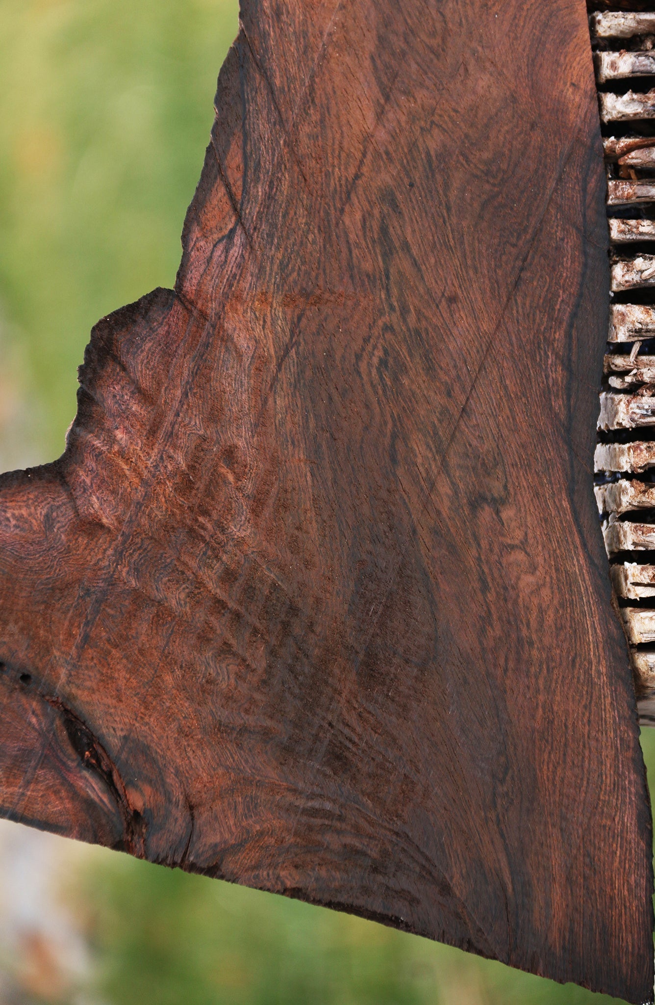 Brazilian Rosewood Live Edge Lumber