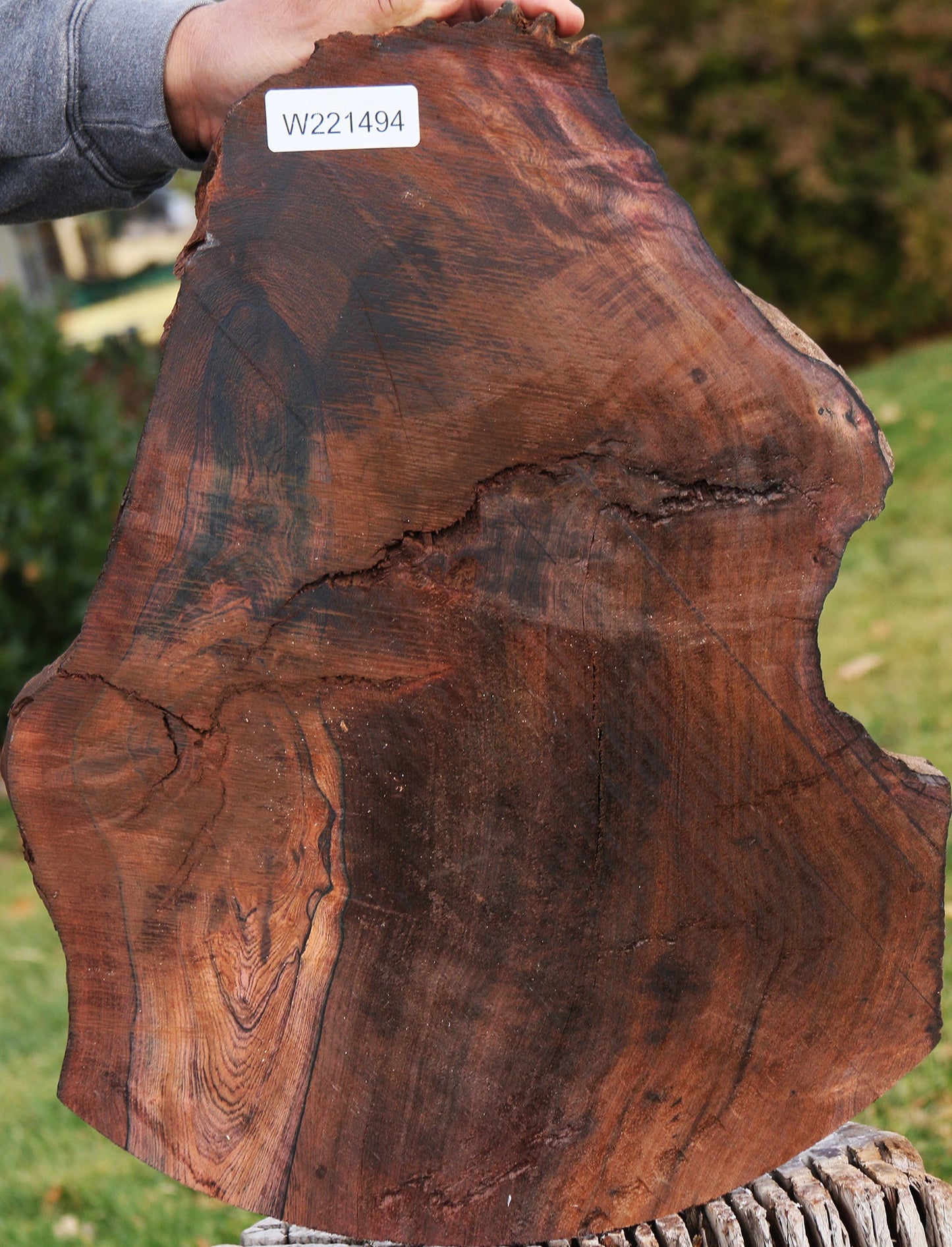 Rustic Brazilian Rosewood Live Edge Lumber