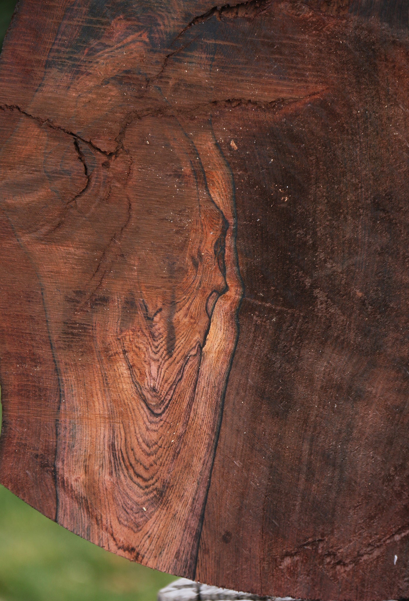 Rustic Brazilian Rosewood Live Edge Lumber