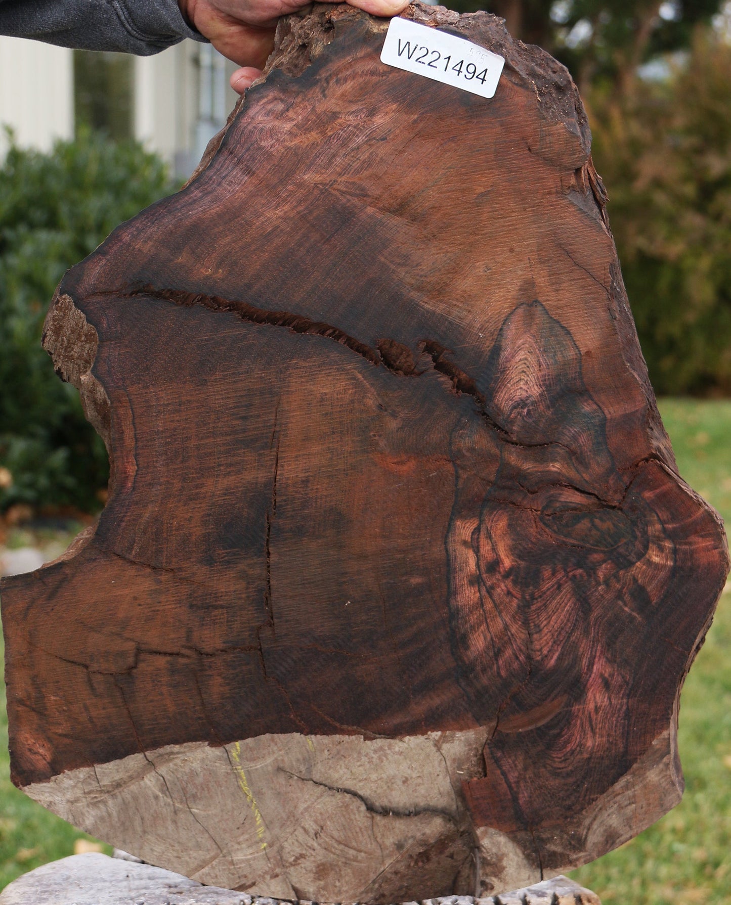 Rustic Brazilian Rosewood Live Edge Lumber