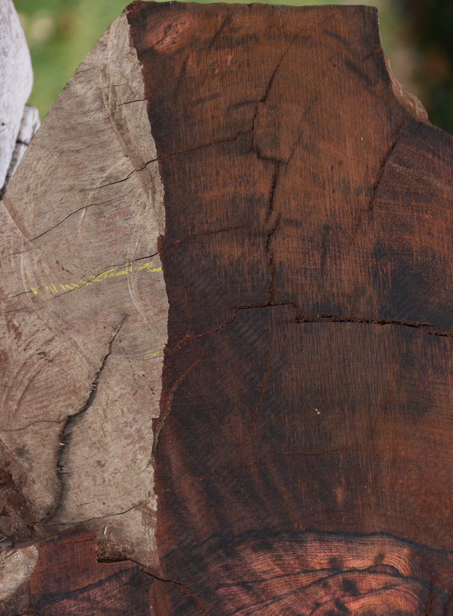 Rustic Brazilian Rosewood Live Edge Lumber