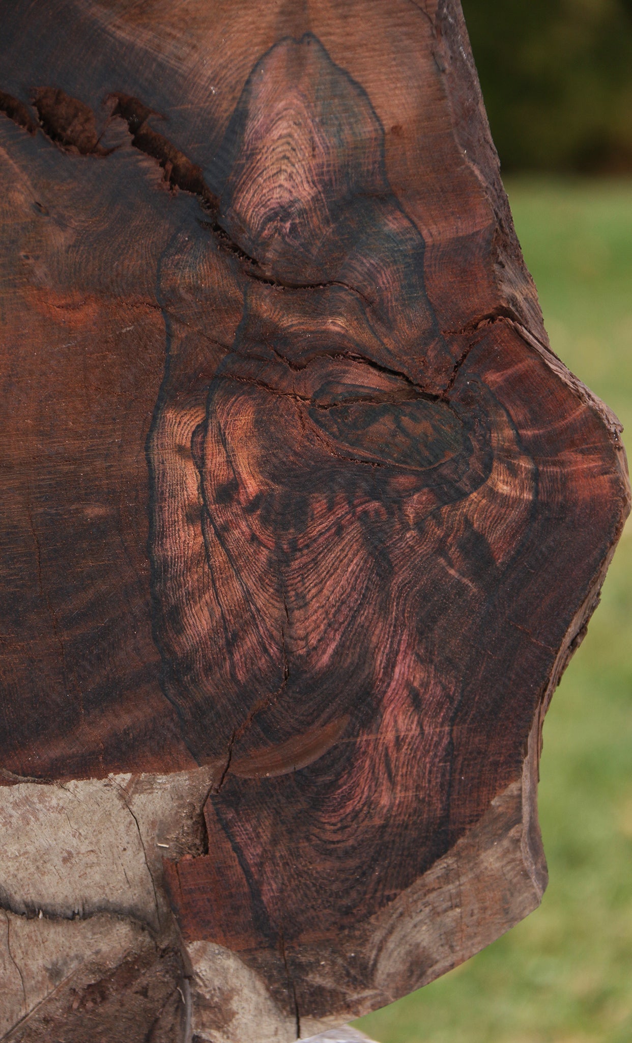 Rustic Brazilian Rosewood Live Edge Lumber