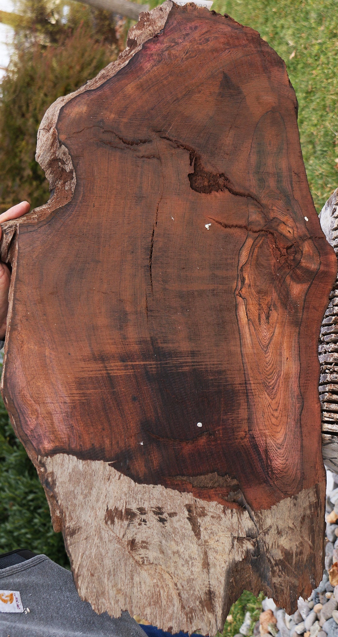 Rustic Brazilian Rosewood Live Edge Lumber