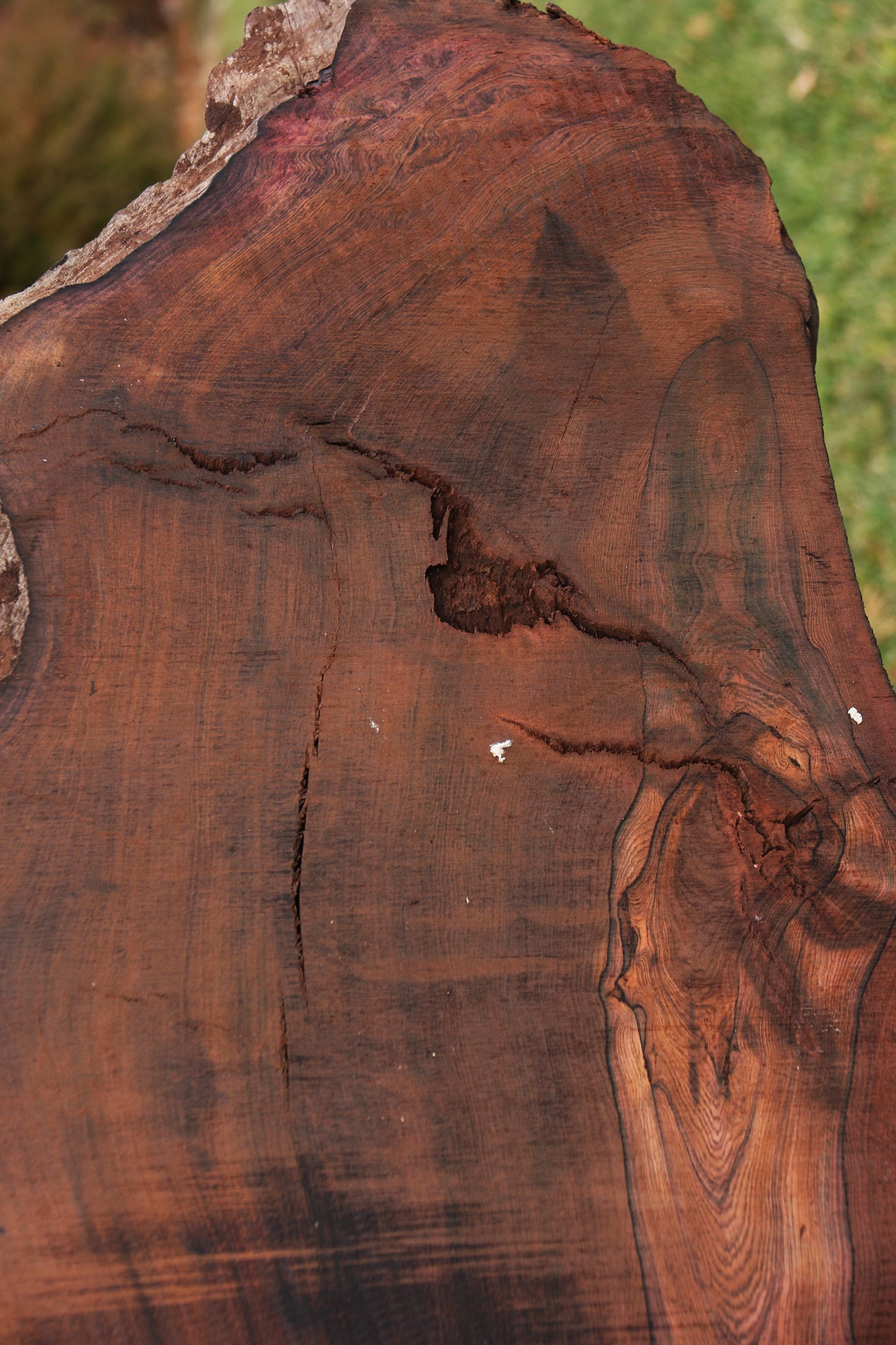 Rustic Brazilian Rosewood Live Edge Lumber