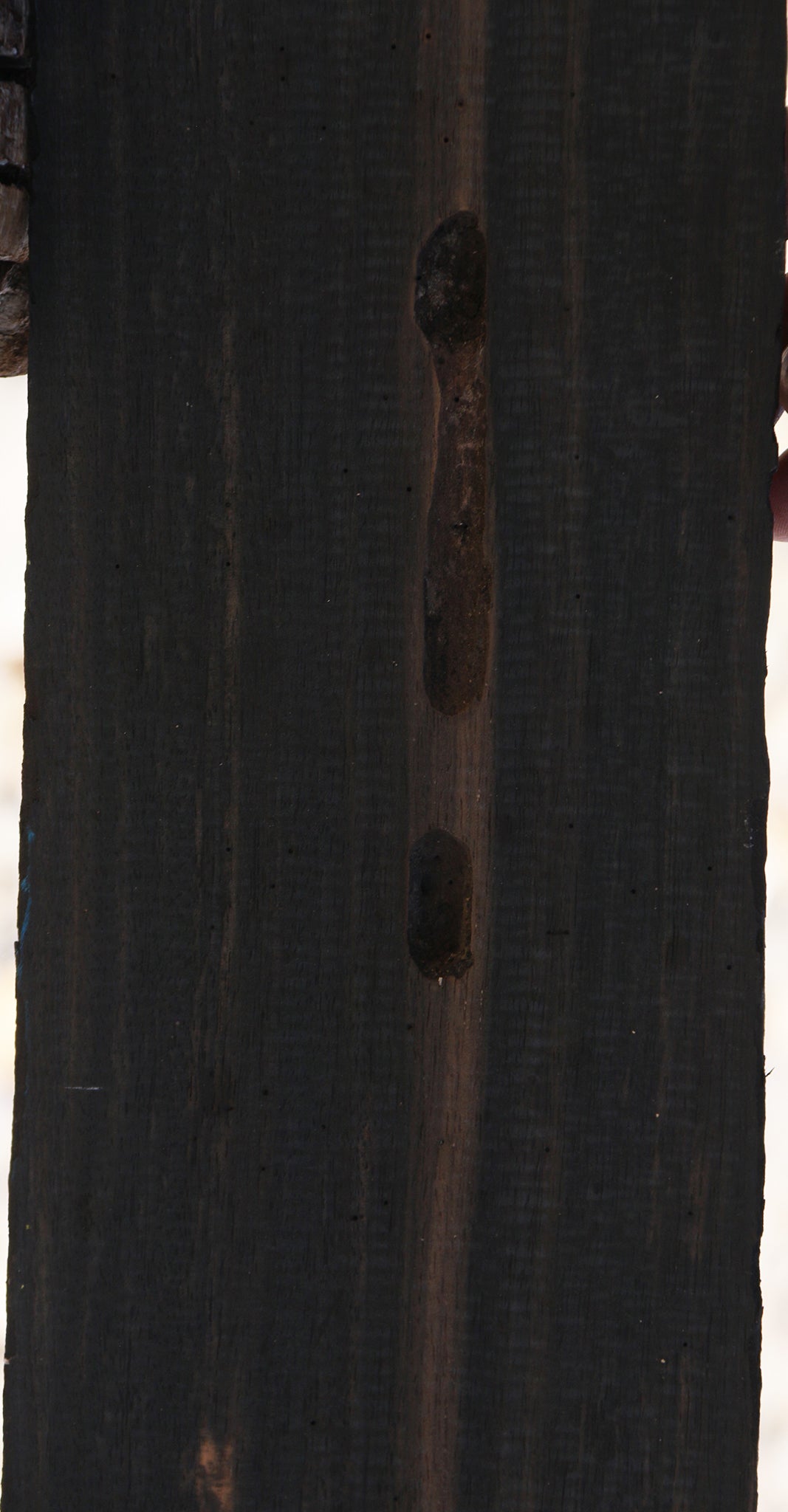 Gabon Ebony Live Edge Micro Lumber