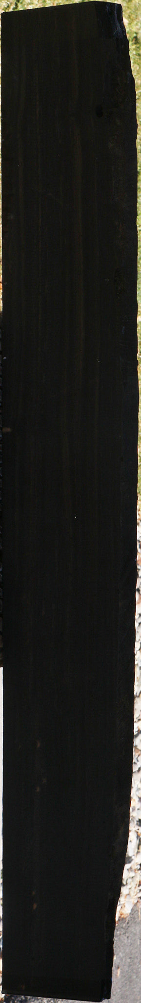 Gabon Ebony Live Edge Micro Lumber