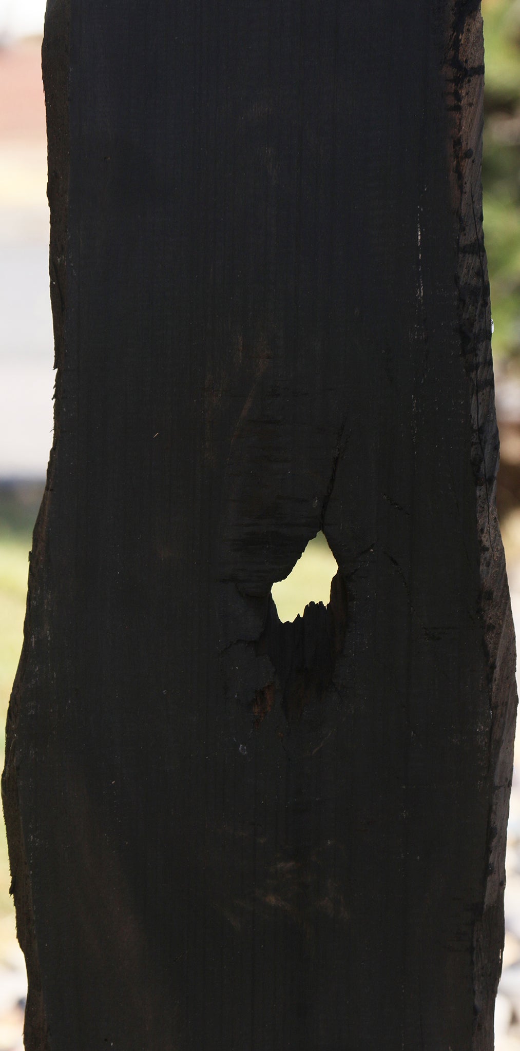 Gabon Ebony Live Edge Micro Lumber