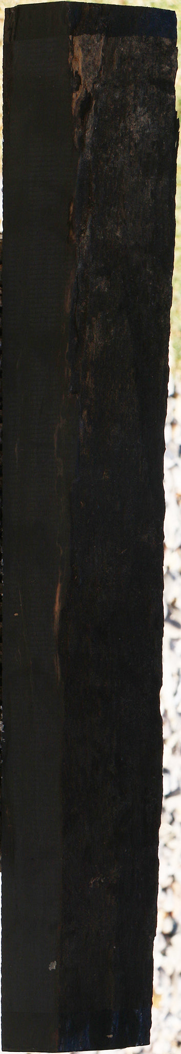 Gabon Ebony Live Edge Lumber