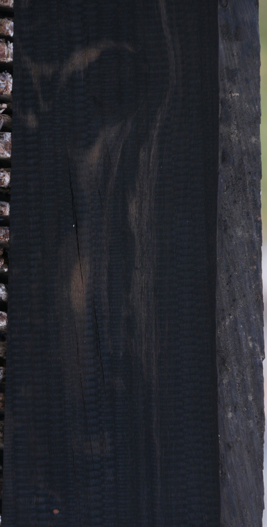 Gabon Ebony Lumber