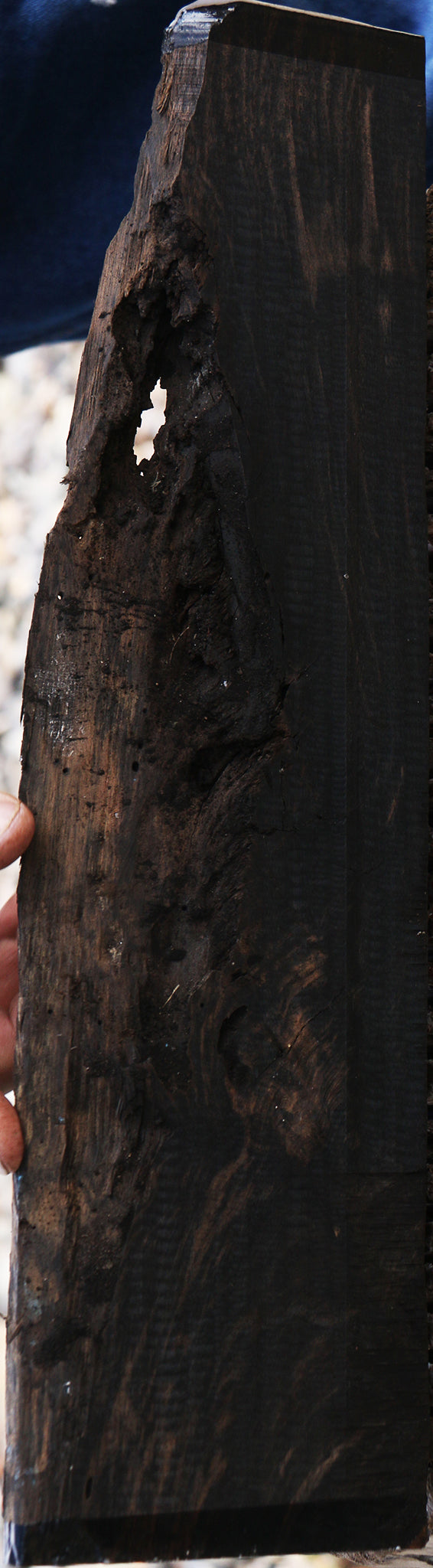 Figured Gabon Ebony Live Edge Lumber