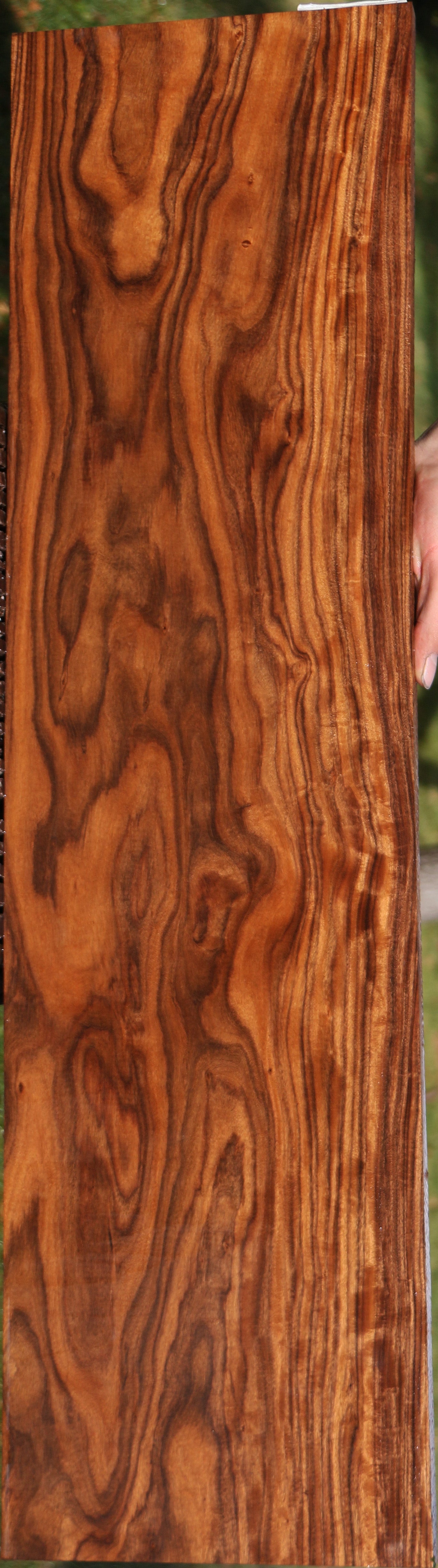 Extra Fancy Bolivian Rosewood Instrument Lumber