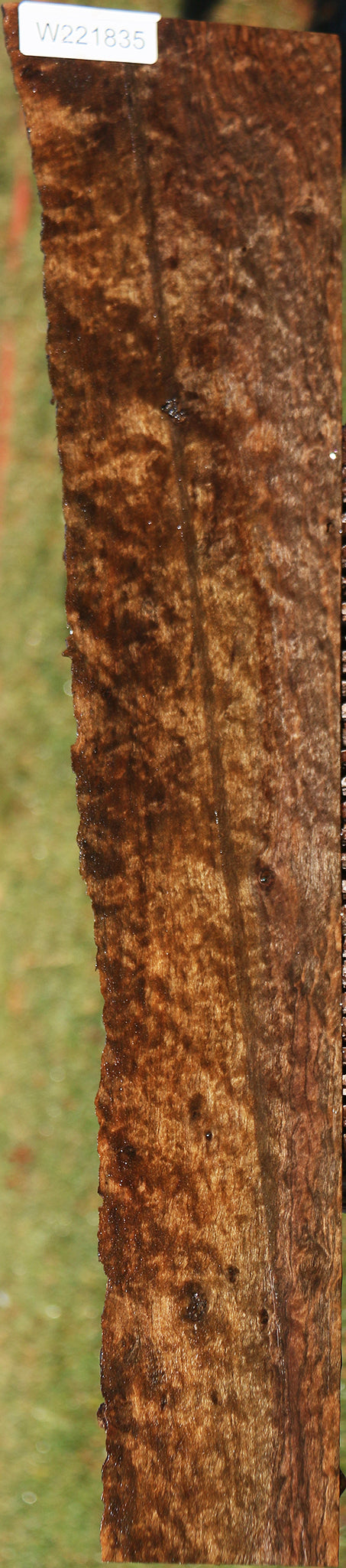 Extra Fancy Quilted Claro Walnut Live Edge Lumber