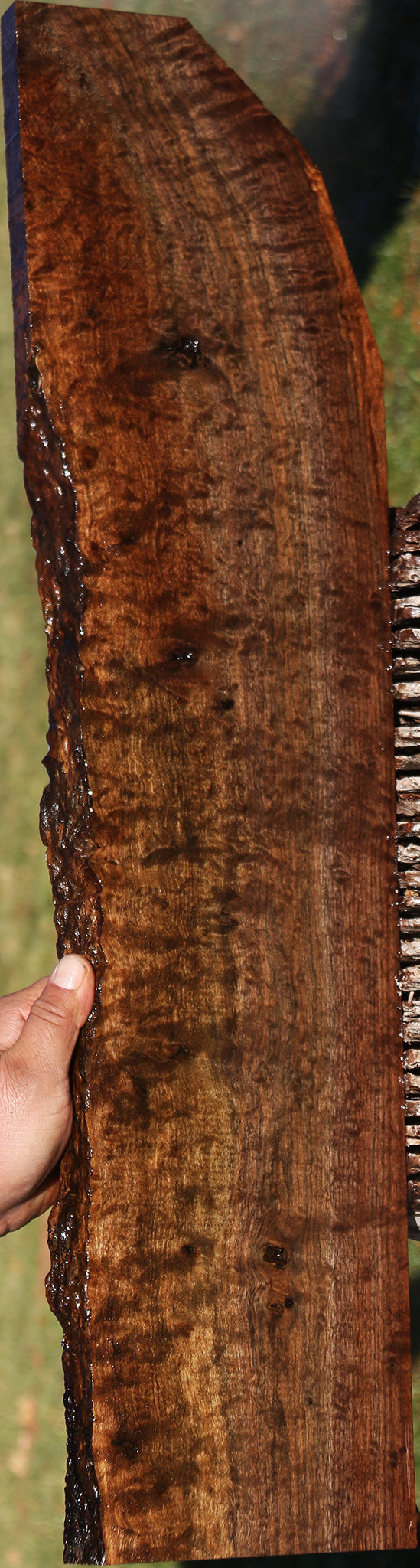 Extra Fancy Quilted Claro Walnut Live Edge Lumber