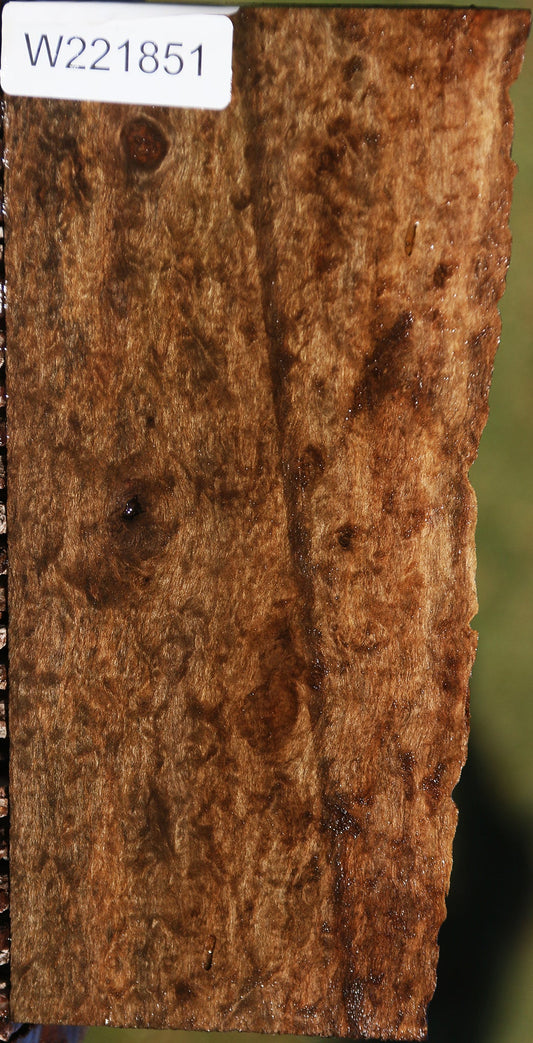 Extra Fancy Quilted Claro Walnut Live Edge Lumber