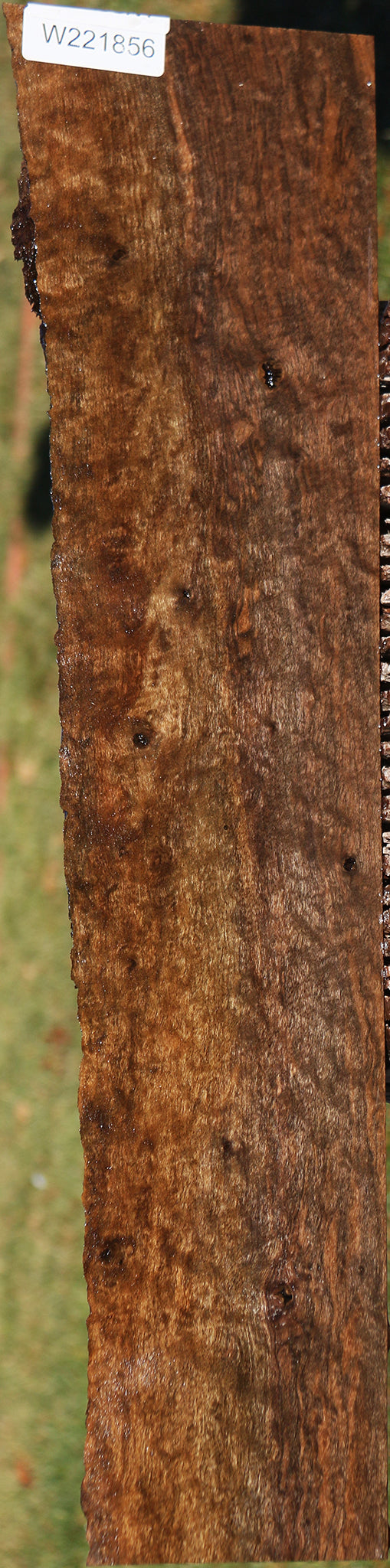 Extra Fancy Quilted Claro Walnut Live Edge Lumber