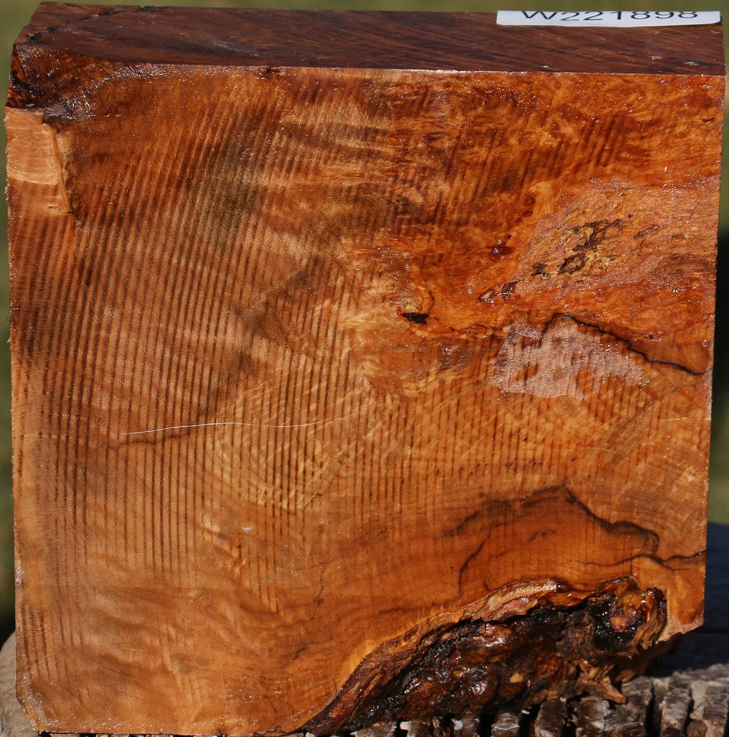 Maple Burl Bowl Blank