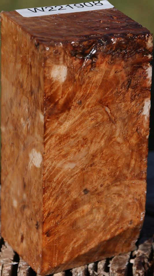 Maple Burl Turning Square