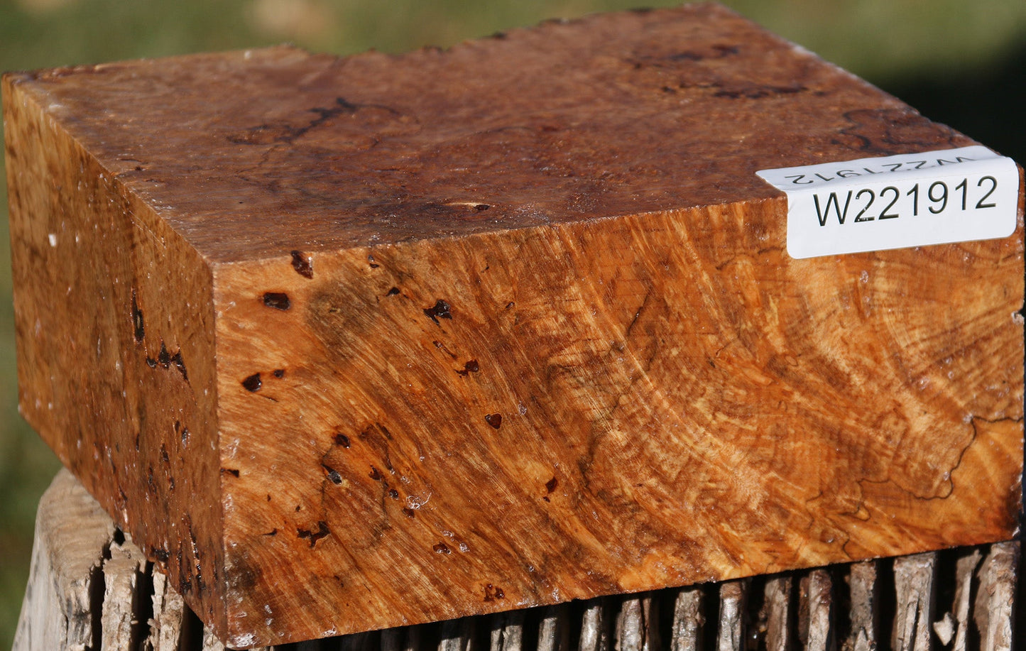 Maple Burl Bowl Blank