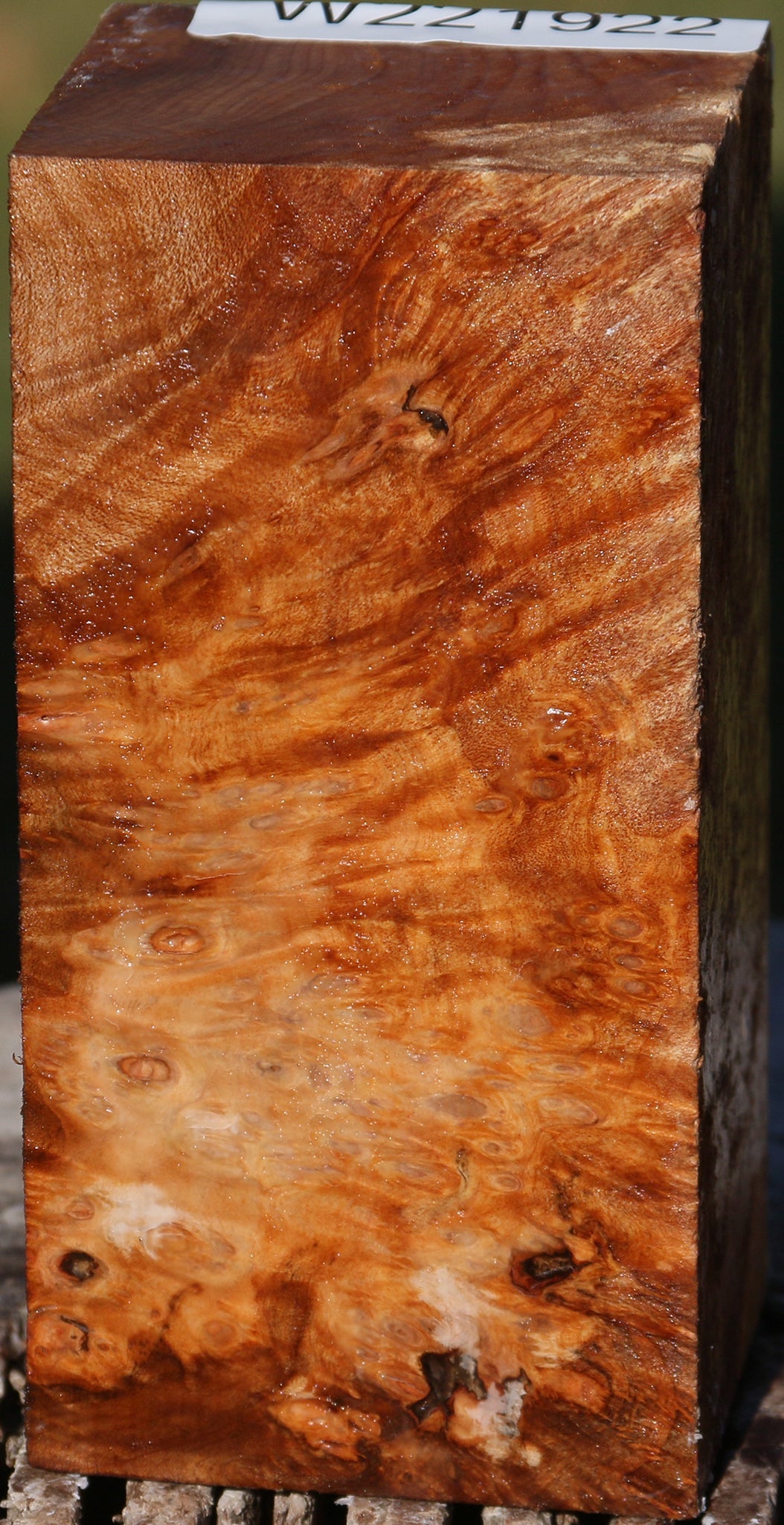 Maple Burl Turning Square