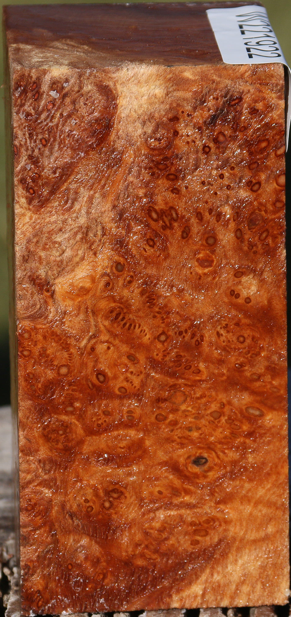 Maple Burl Turning Square