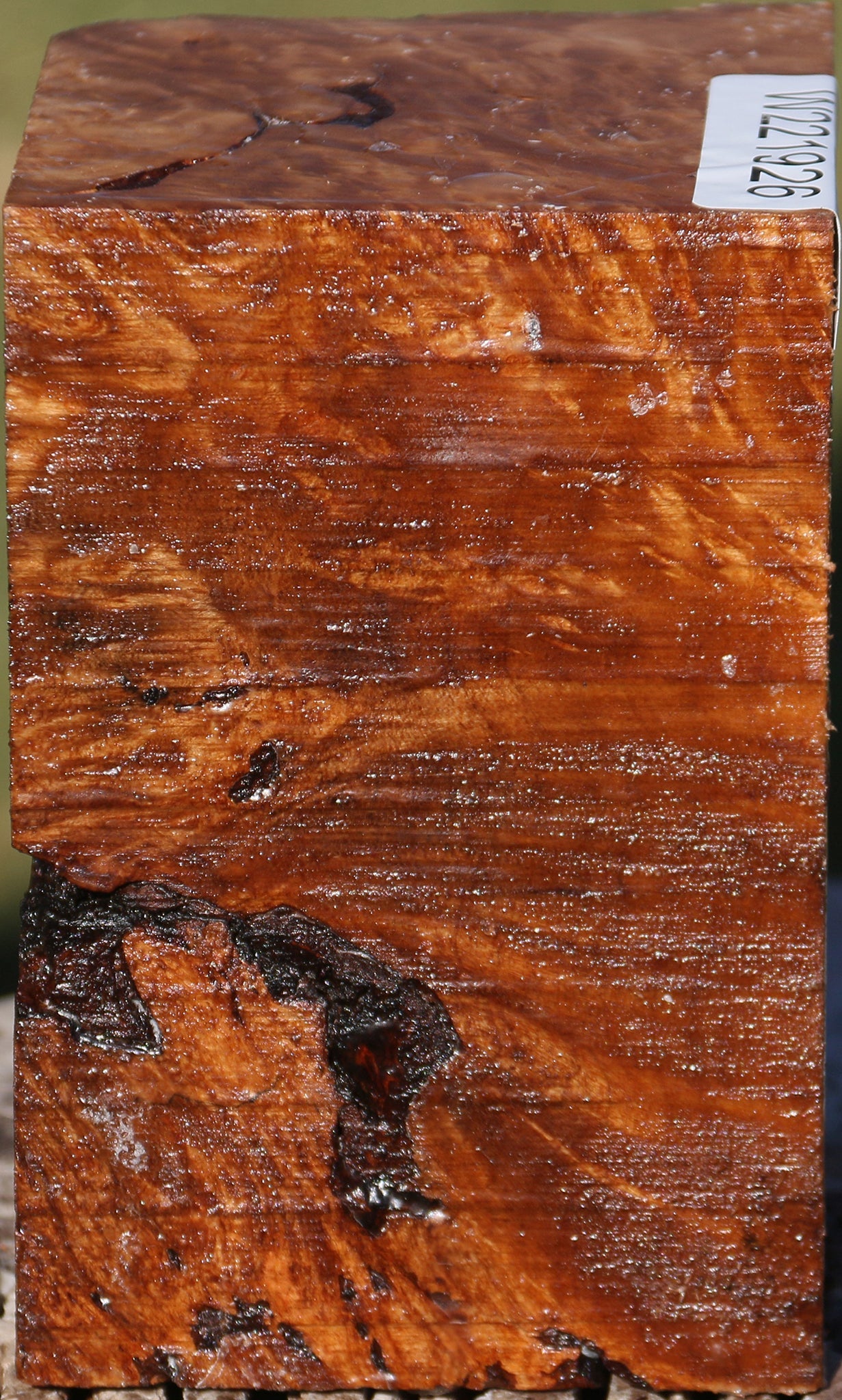 Maple Burl Turning Square