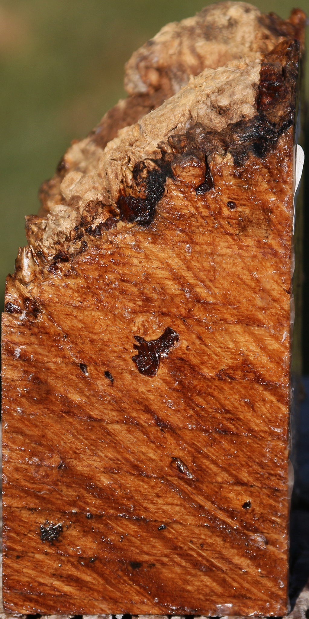 Maple Burl Live Edge Turning Blank