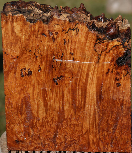 Maple Burl Live Edge Bowl Blank